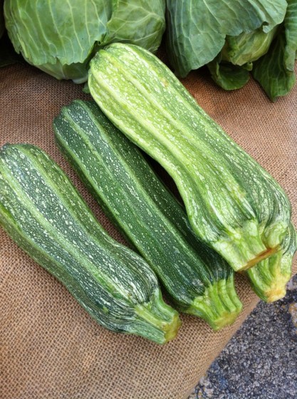 Hillside Farm, Media Farmers Market 3