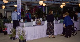 ALS_silent_auction12