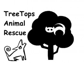 TreeTopsRescue