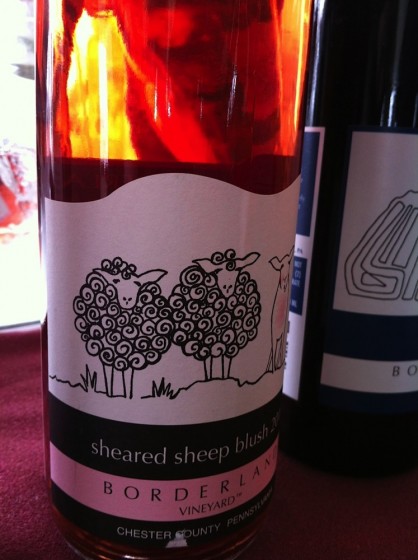 Borderland Vineyard 1