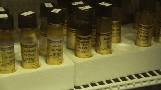 Yeast, Brew Your Own Beer