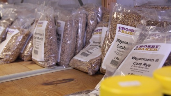 Brew Your Own Beer Havertown
