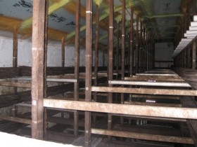 Guizzetti Mushroom Farm