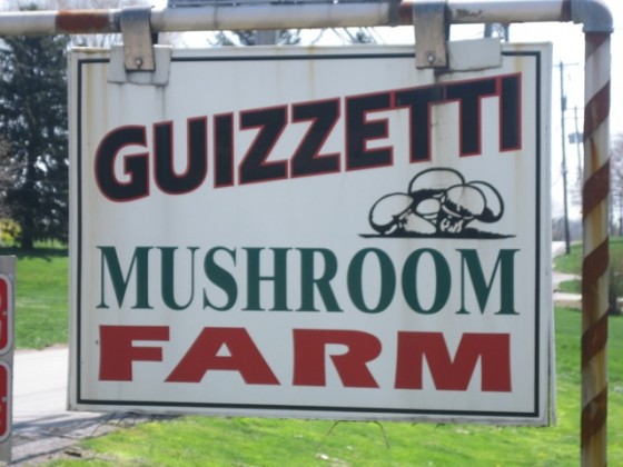 Guizzetti Mushroom Farm