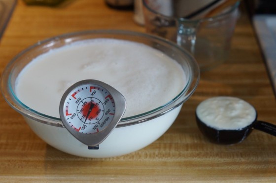 Yogurt Making
