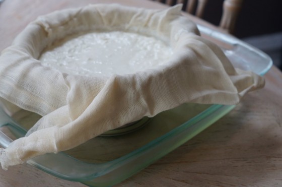yogurt making