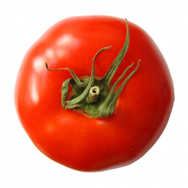 Tomato2