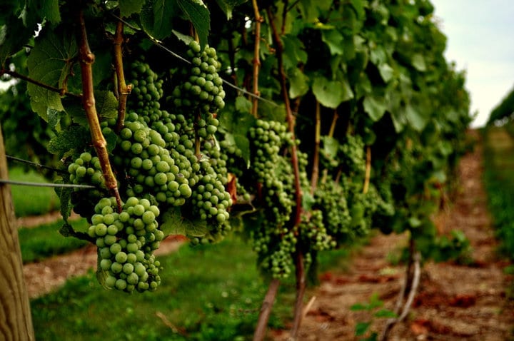 Lehigh Valley Wine Trail