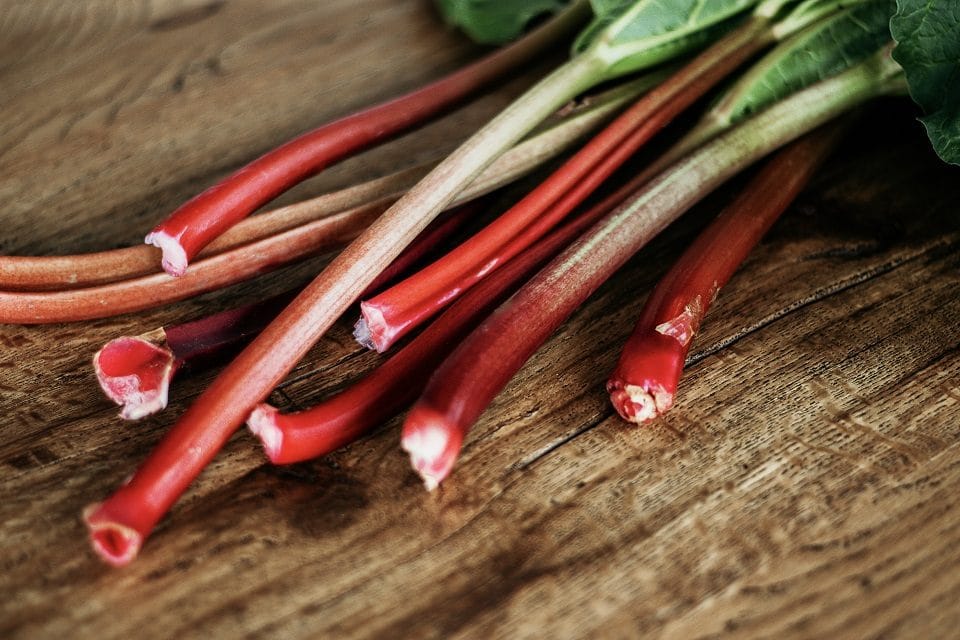 facts about rhubarb