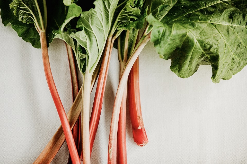 facts about rhubarb