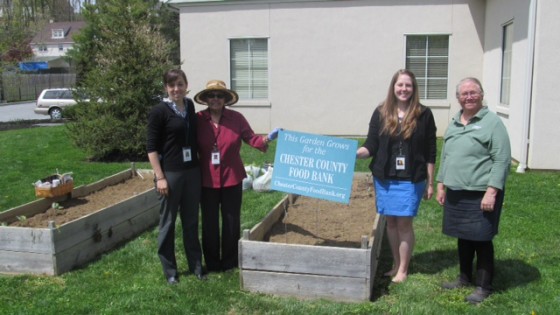 Food bank garden bed 052014