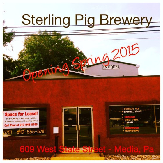 Sterling Pig 2