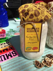 Mushroom festival smugtown