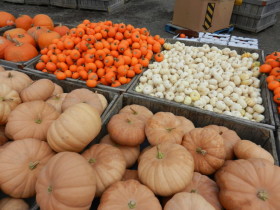 Linvilla 2pumpkin2