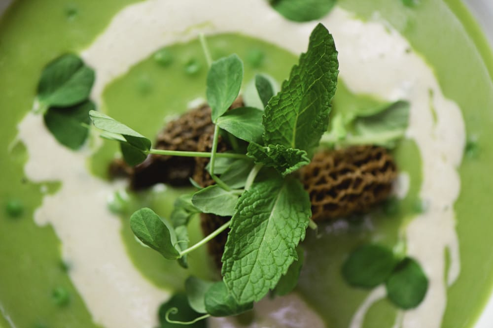 Pea Soup with Morel Mushroom Sauce
