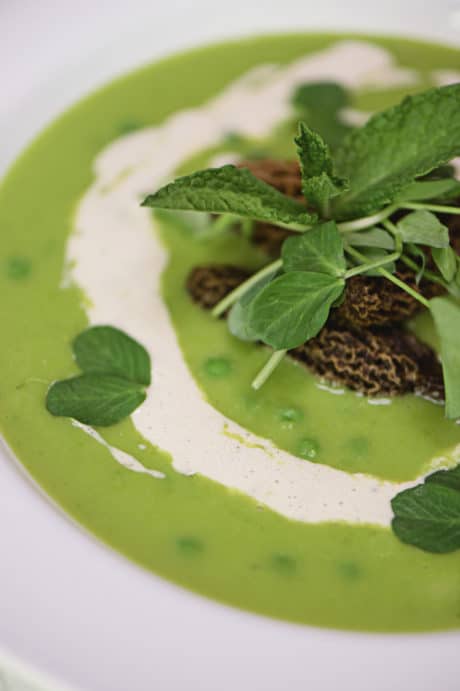 Pea Soup with Morel Cream Sauce