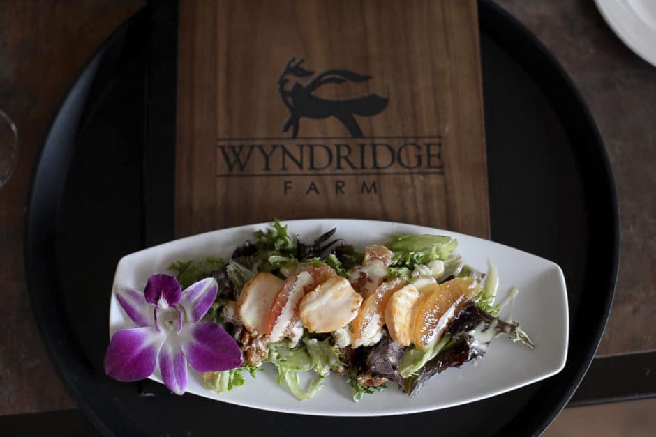 Wyndridge Farm 2