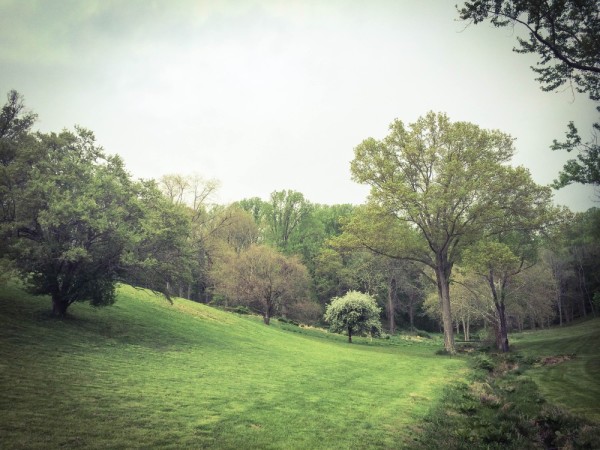 Brandywine Battlefield