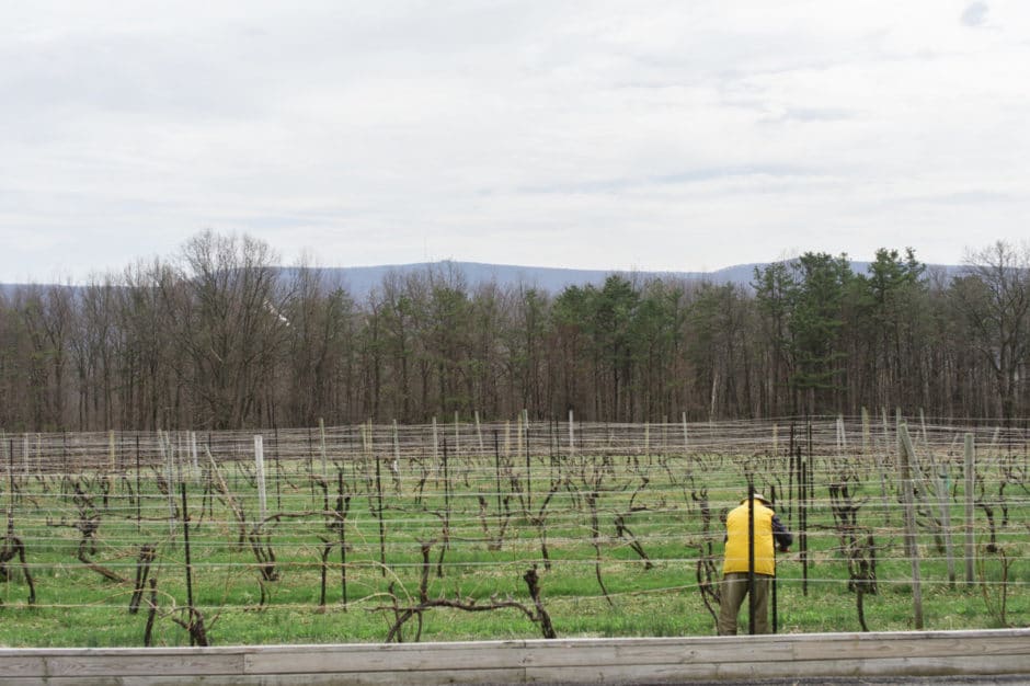 Mount Nittany