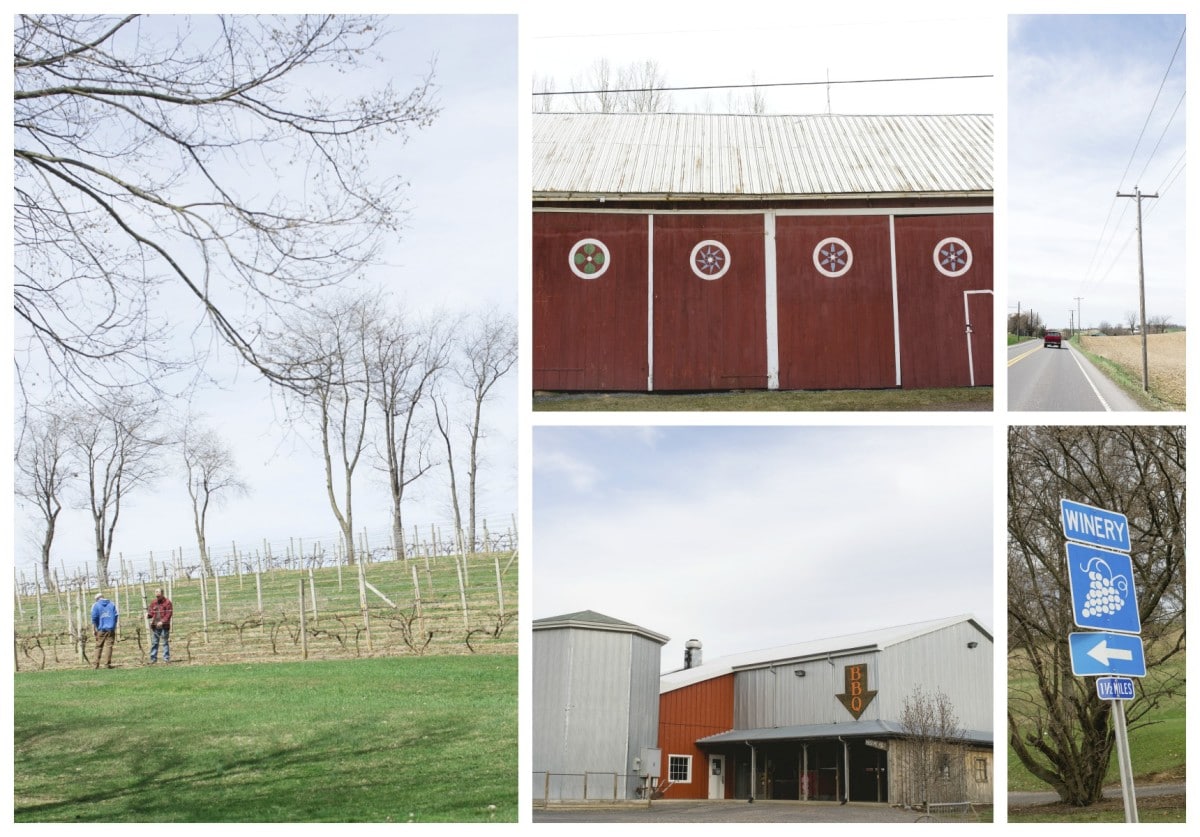 PA Wine Collage — Susquehanna Wine Trail