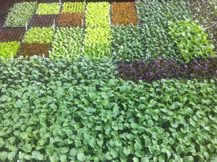 Two Gander Farm Products