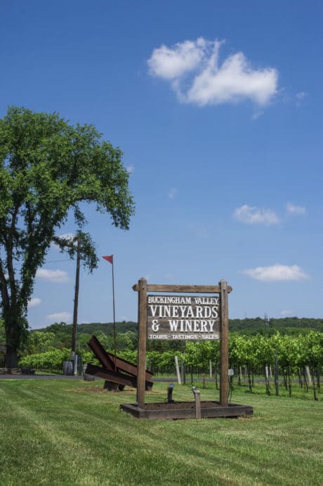 Buckingham Valley Vineyards