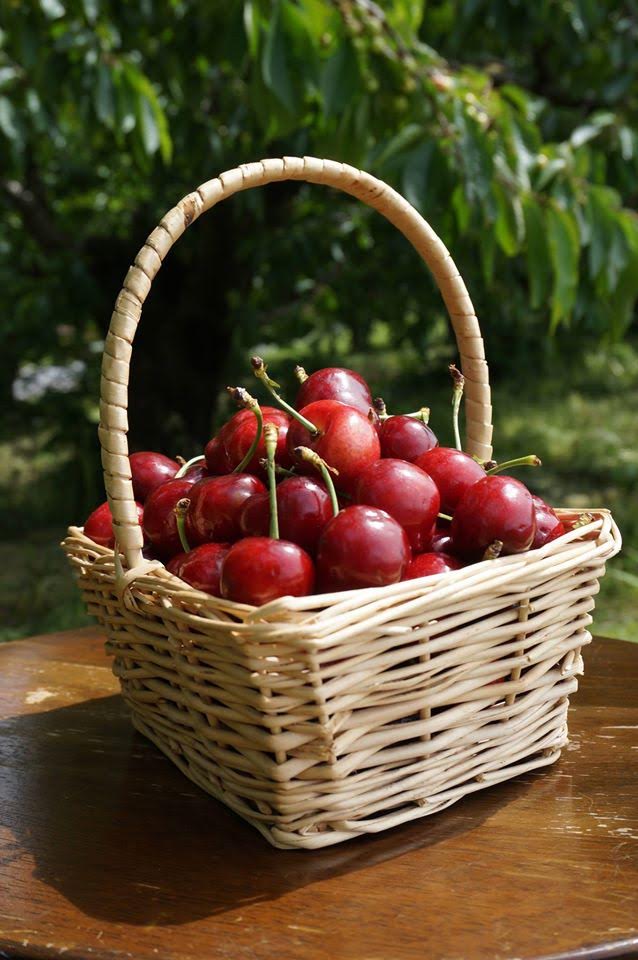 Cherries Weaver's Orchard