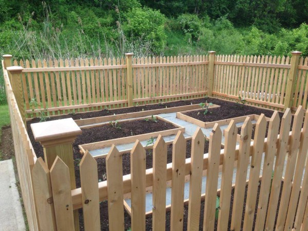 Melton Center Community Garden Fence