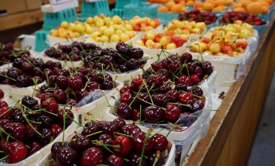 weavers orchard cherries 4