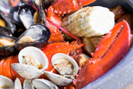 Lobster Nina Lea Photography