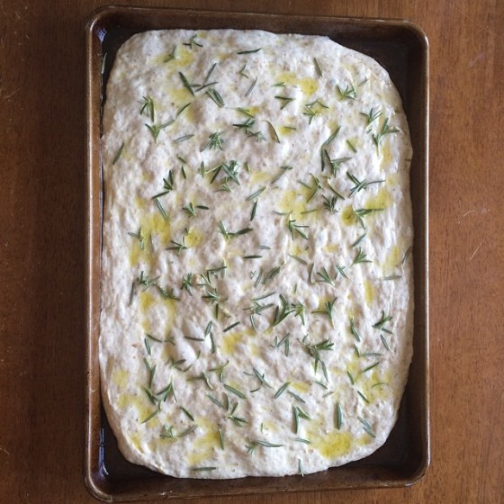 Malvern Buttery Focaccia