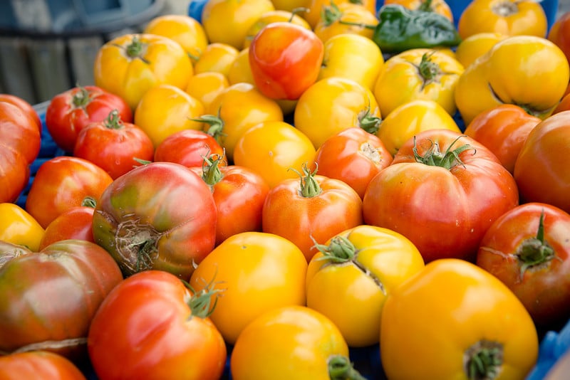 Tomatoes Nina Lea Photography