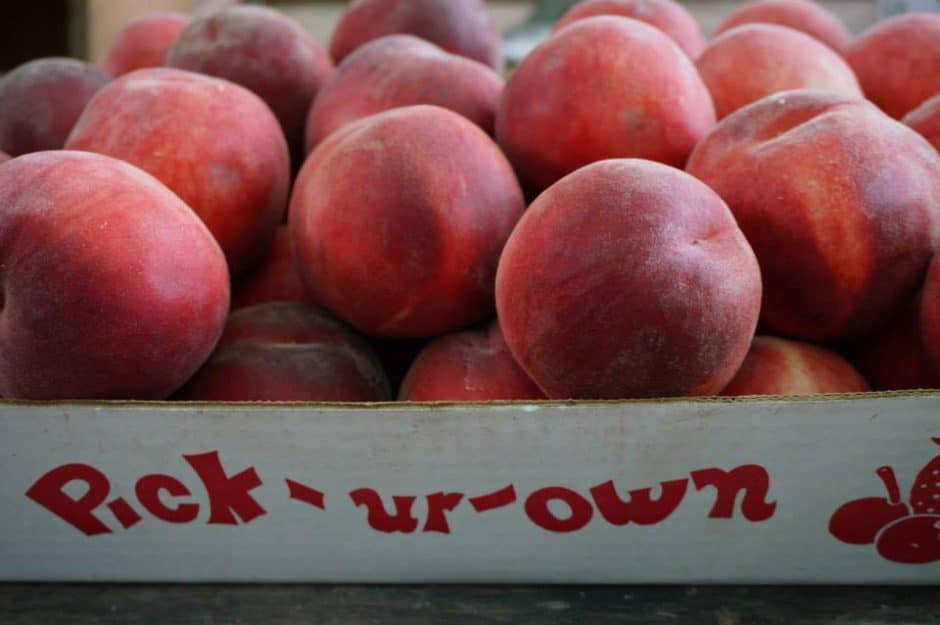 Weaver's Orchard Peaches