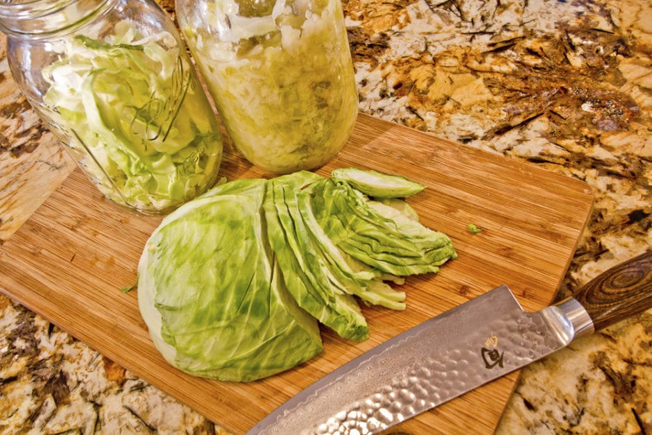 Cabbage