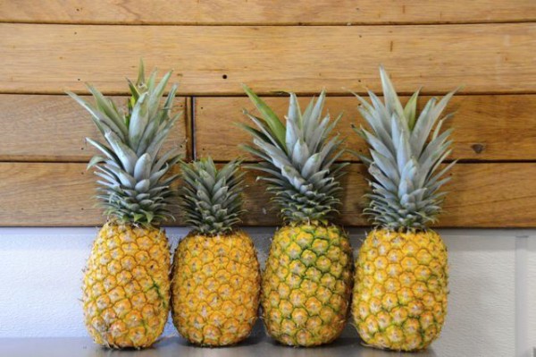 Pineapple Baco Taco