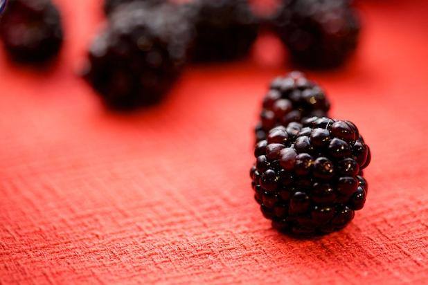 Weaver's Orchard Blackberry