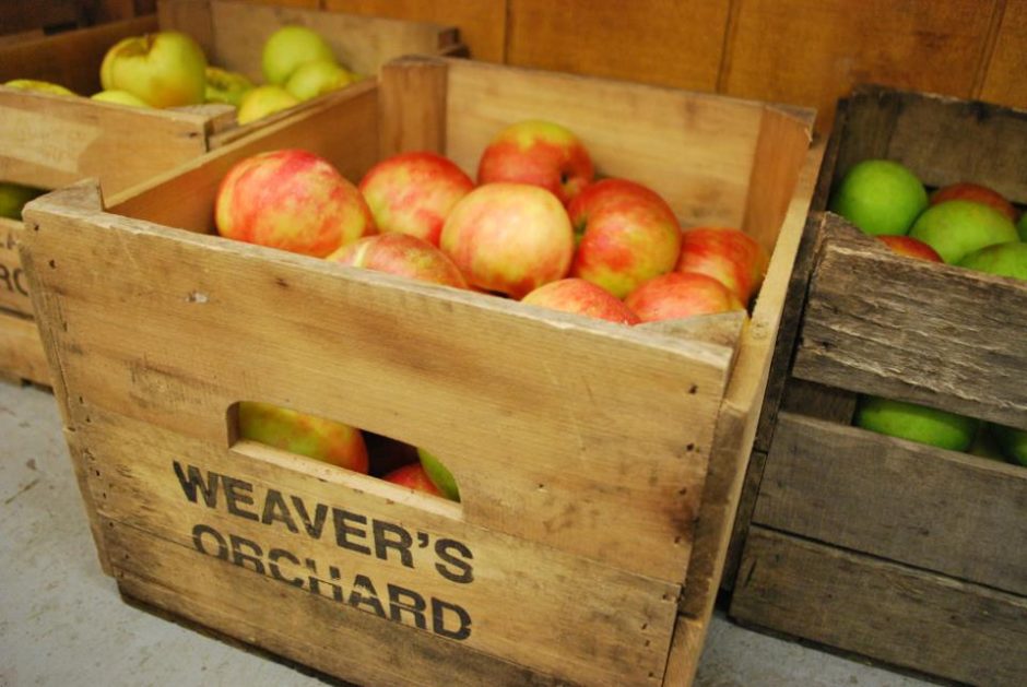 Weaver's Orchard Apples 2