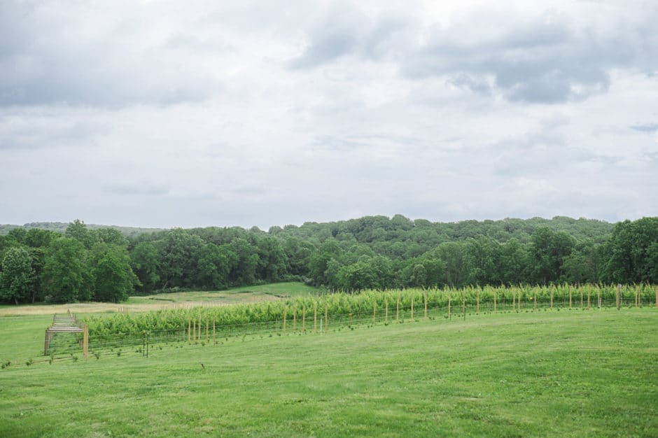 Borderland Vineyard Scenery