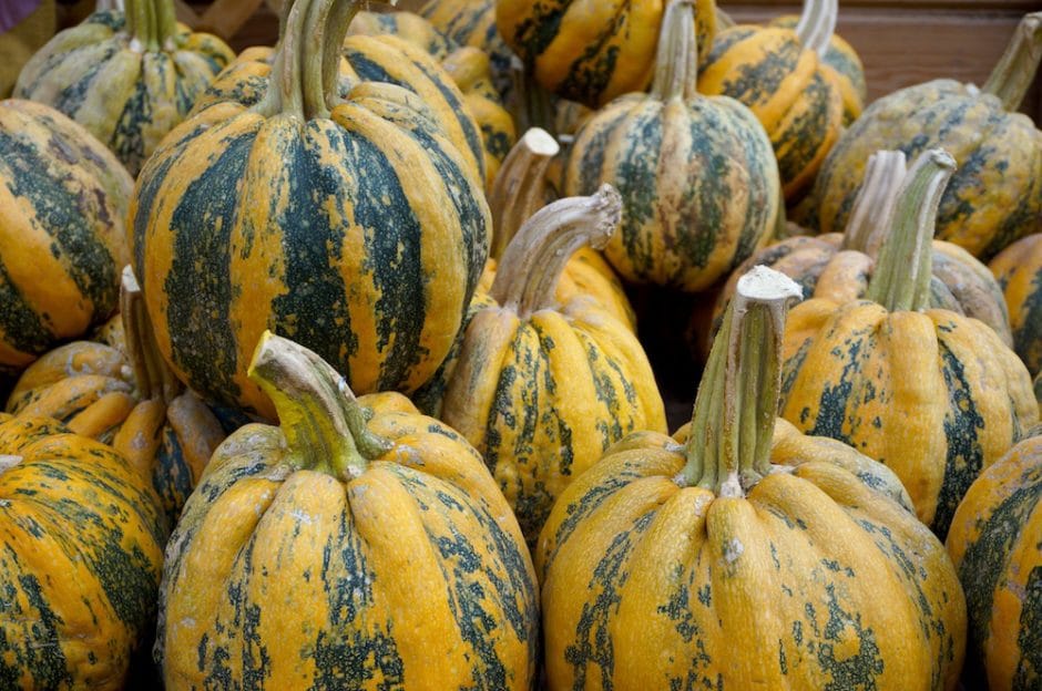 Weaver's Striped-pumpkins