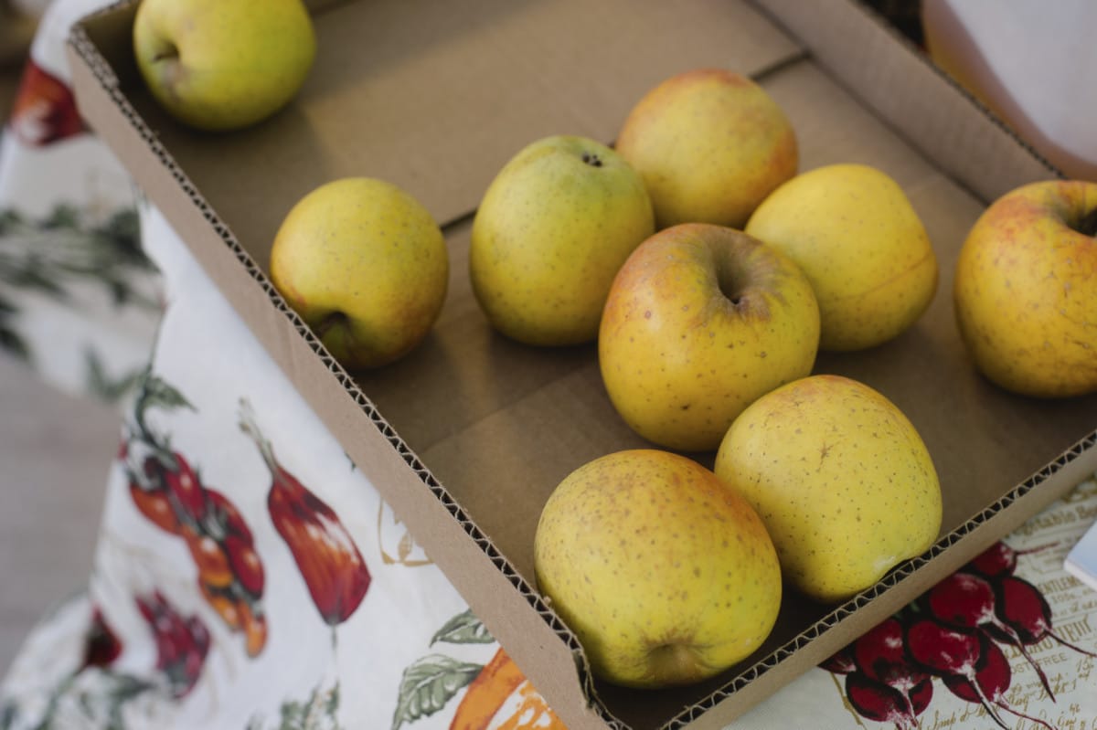 apples