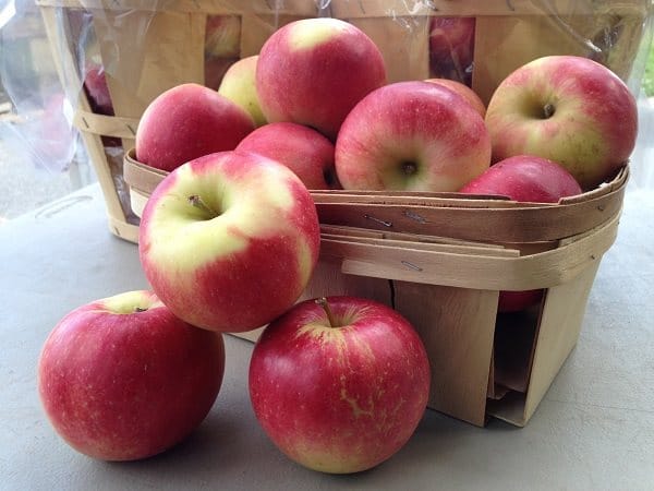 Weaver's Orchard apples