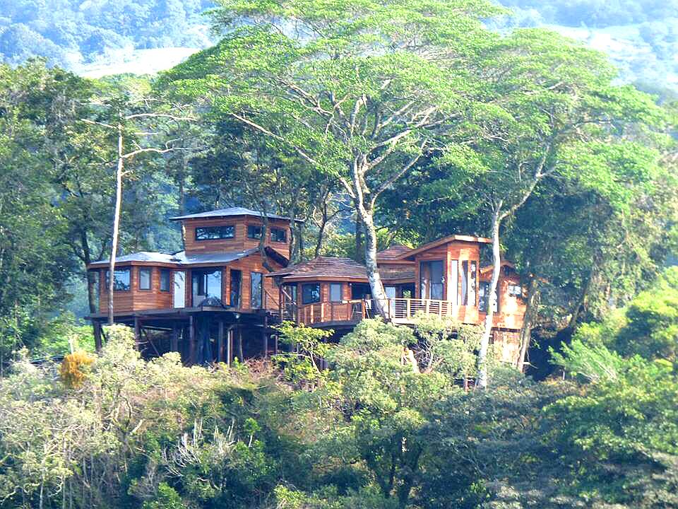 tree top builders luxury treehouse panama