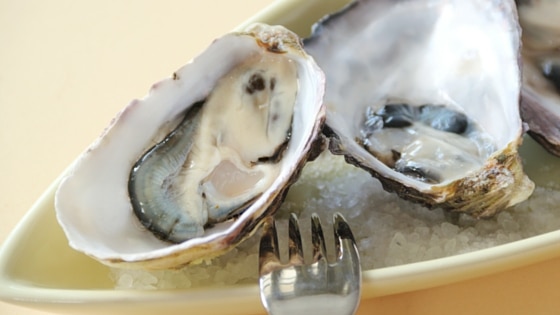 Oysters Southern Cross Kitchen