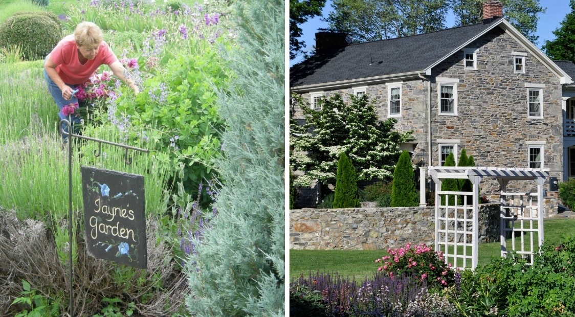 Living the FarmtoTable Dream A Q&A with Beech Springs Farm Owner