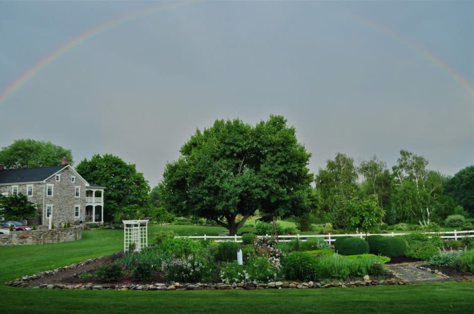 Beech Springs Farm