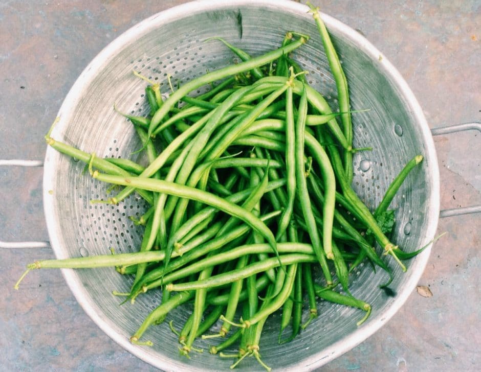 Green Beans 