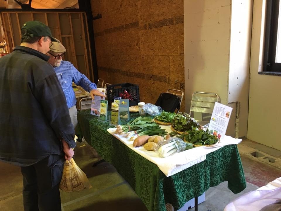 Market at the Fareway Oasis at Bird in Hand