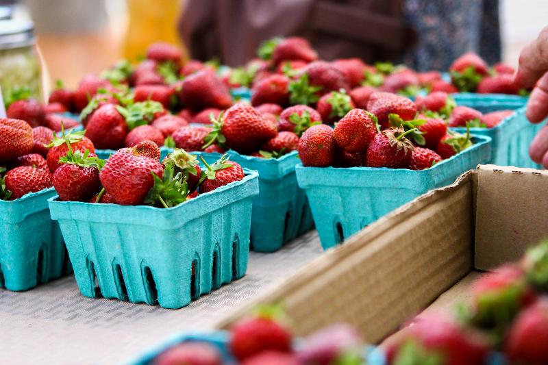 Bryn Mawr Farmers Market Strawberries