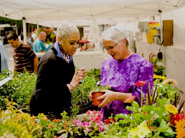 Bryn Mawr Farmers Market