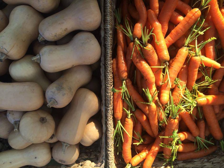 squash and carrots at Bryn Mawr Farmers Market